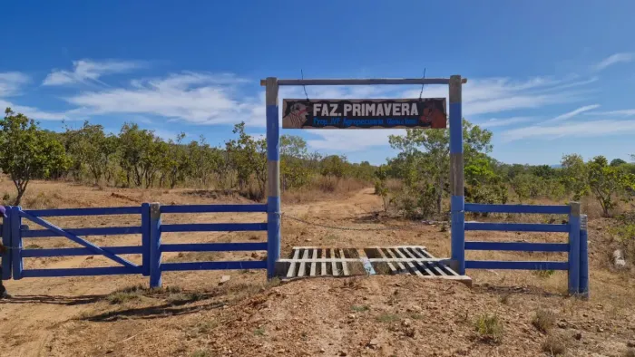 Fazenda Primavera