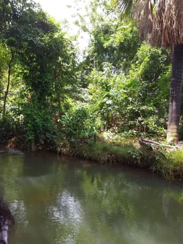 Chácara de dez alqueires na cidade de São Félix do jalapao 
