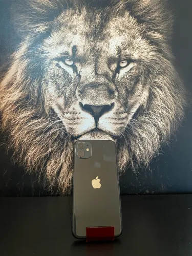 1100 iPhone 11