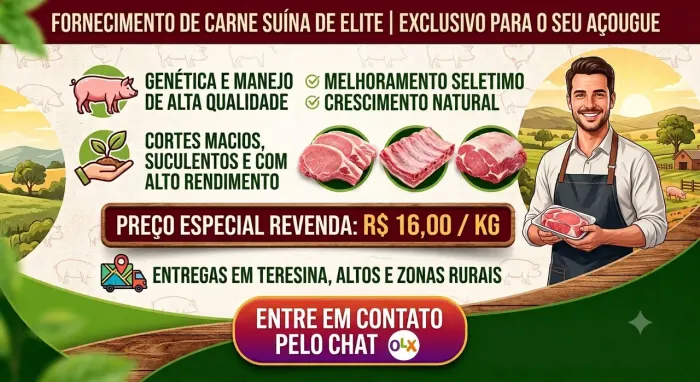 Fornecedor de carne suina