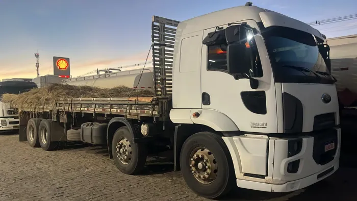 FORD CARGO 3031