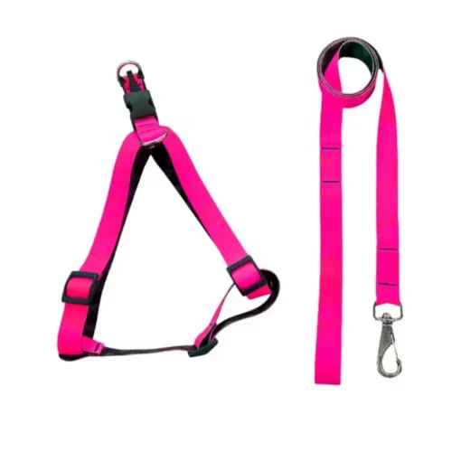 Coleira para cachorro 