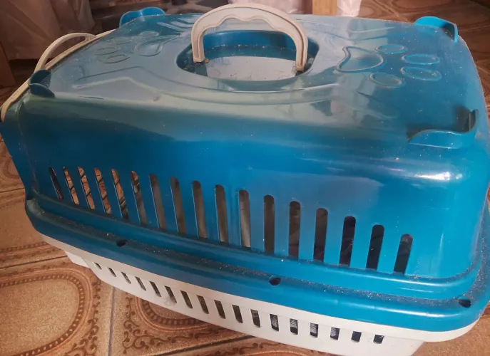 Transporte Pet