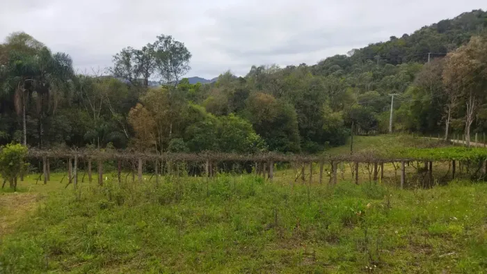 Chácara Campo Magro 85.000m² ou 8,50 hectares, área lavoura, córrego e preservação.