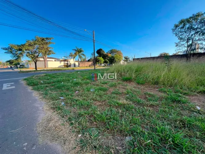 Lote Vila Rosa , em avenida, 567 metros - Goiânia - GO