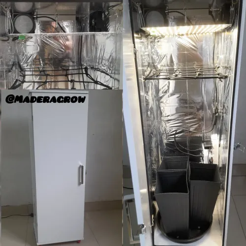 Estufa Cultivo Indoor Armário Growbox Completo