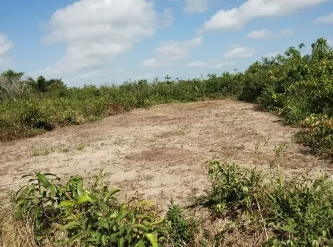 Terreno em MARAPANIM