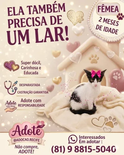 ADOÇÃO RESPONSÁVEL 