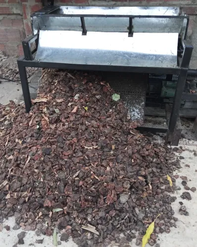 Máquina para descastanha castanha de caju