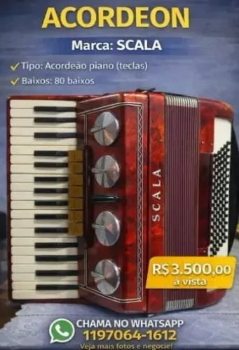 Acordeon Scala Instrumento Musical Sanfona Teclado