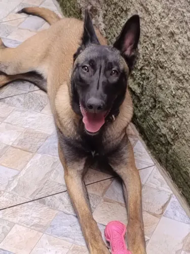 Doação