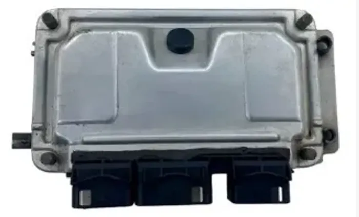 Central Módulo ECU Peugeot 206 1.4 8v 2008
