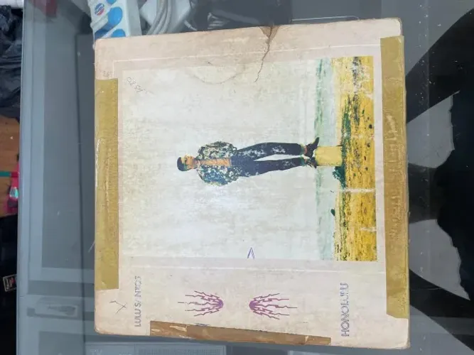 Vinil Lulu Santos
