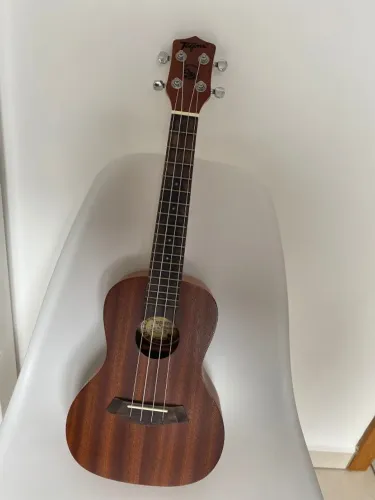Ukulele Concert