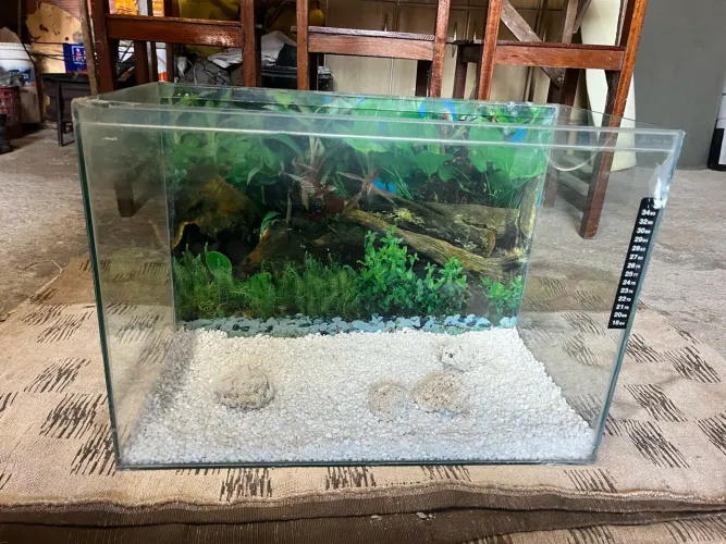 AQUÁRIO DE 55L+DECORAÇÃO+PEDRAS+BOMBA DE OXIGÊNIO
