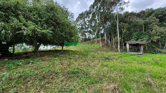 CHÁCARA NAS MONTANHAS DE DELFIM MOREIRA/MG