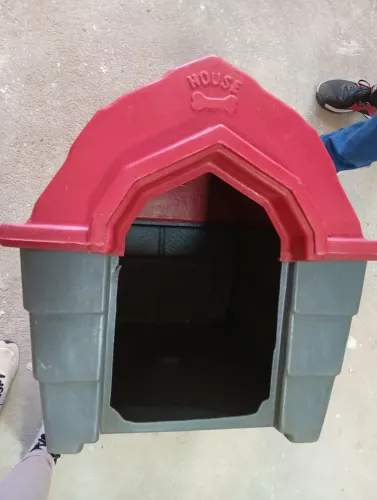 Desapegando casa de cachorro número 6 72 comprimento x 41 largura.