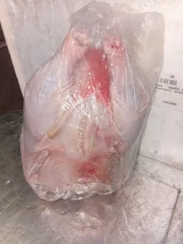 Galinhas caipiras limpas e congeladas tbmm galos e codornas congeladas