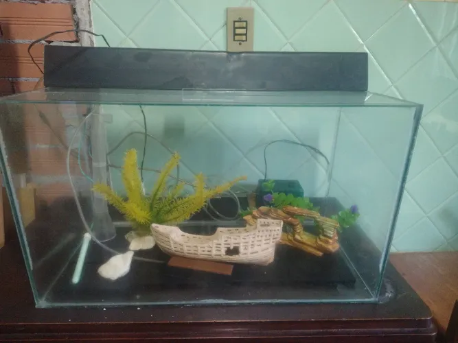 Aquário para peixes ornamentais