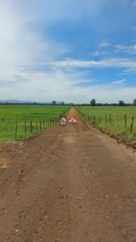Imperdível - Terrenos planos e bem localizados no Bom Sucesso!