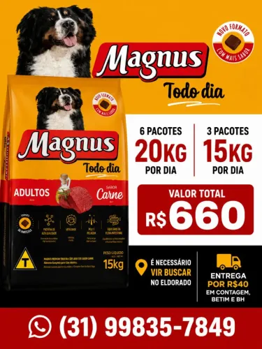 Ração de PetShop Fechado! Kit 9 Magnus carne 