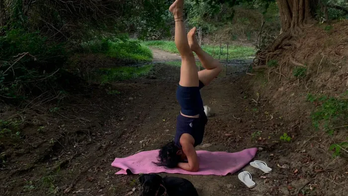 Aulas de yoga, meditação e relaxamento