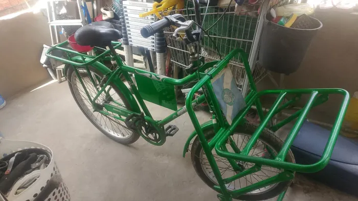 Bicicleta cargueira 