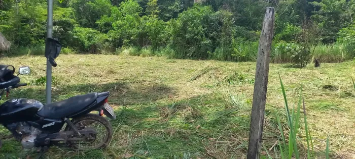 Dois terrenos disponíveis