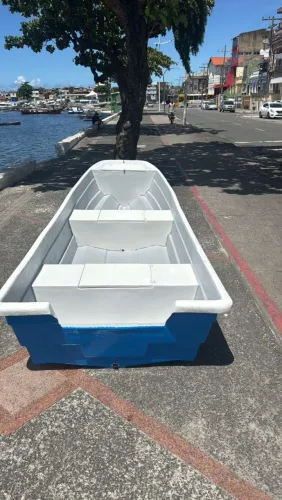 Barco panga