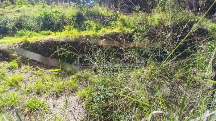 Lote à venda, Bandeirantes - Belo Horizonte/MG