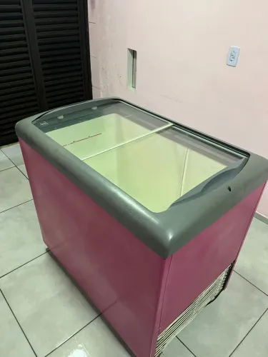 FREEZER PORTA DUPLA 220W
