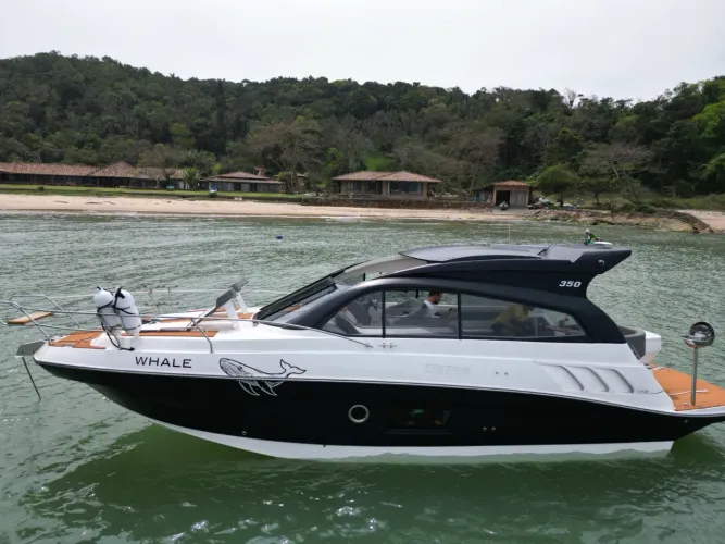 Triton 350 HT - 2022 x2 Mercruiser 250 HP ñ Focker Phantom Sessa Real Sedna Fs Focker