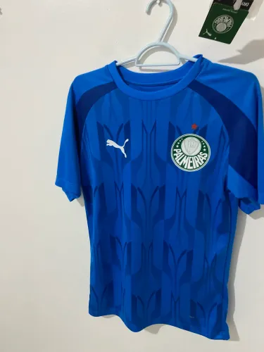 Camisa palmeiras 