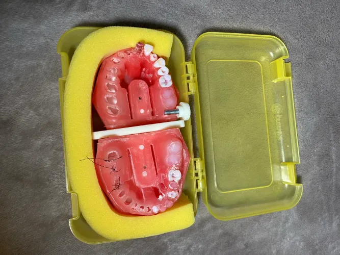 Manequim endodontia pronew