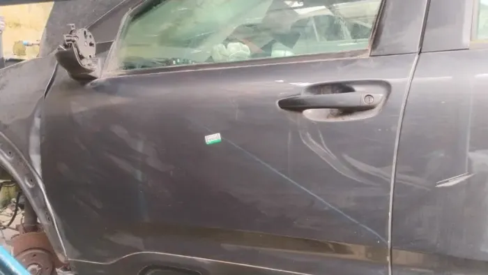 Porta D/E C4 Cactus (somente lata )