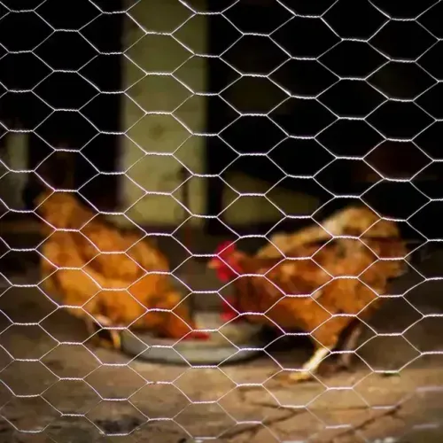 Promoção Tela de Galinheiro Metálica Hexagonal Fio 23 1,5m 50 Metros Vonder