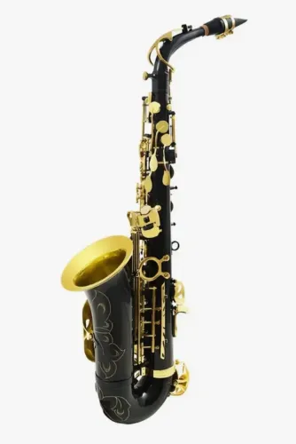 Sax alto Custom com estojo completo - praticamente novo