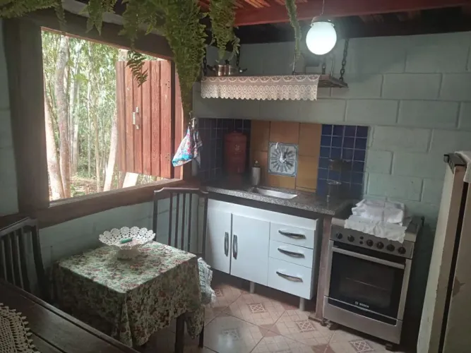 Chalés na mata preservada