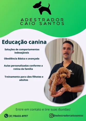 Adestramento de cães - Niterói