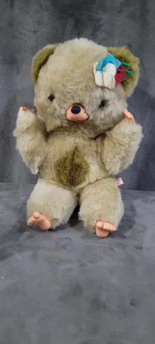 Urso antigo