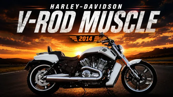 Harley Davidson V-Rod Muscle com Acessórios Baixo KM