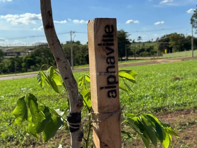 LOTE de 300 m² no Condomínio Terras Alpha, Uberaba