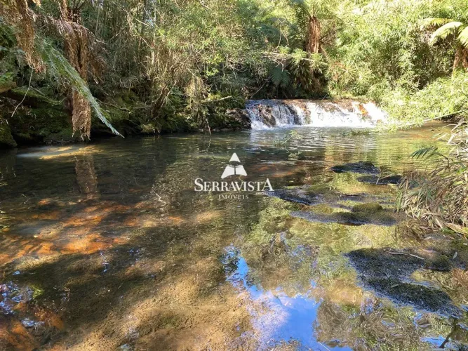 Área com pastagem 26 hectares - São Bento do Sul