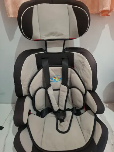 Cadeirinha de carro 