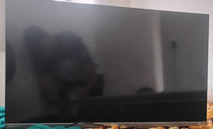 Televisão