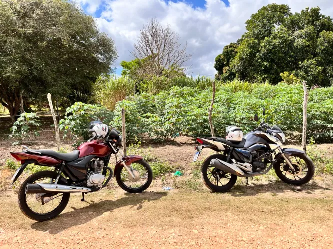 Vendo 2 terrenos em itaporanga d?Ajuda povoado salvadozinho loteamento Miguel luz