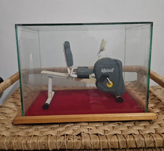 Miniatura de Bicicleta de Academia!!!
