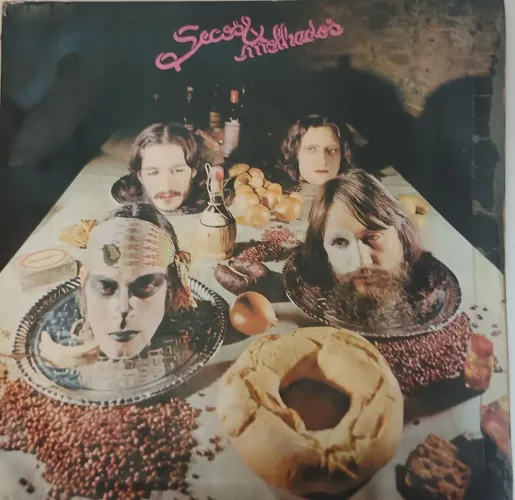 Disco vinil secos e molhados