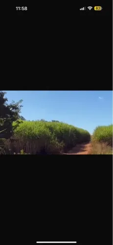 Fazenda pra investir Ituiutaba