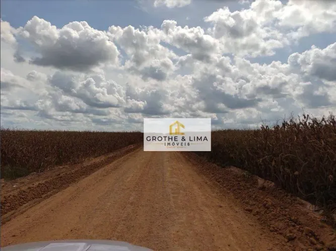 Oportunidade Estratégica no MATOPIBA 16.000 ha com Alto Potencial de Expansão Agrícola